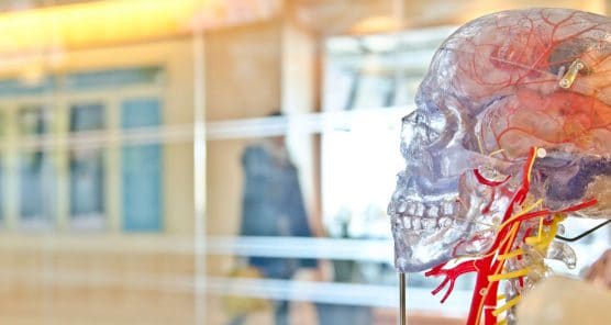 deep-learning-in-microbiology