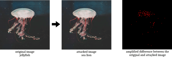 neural networks jellyfish