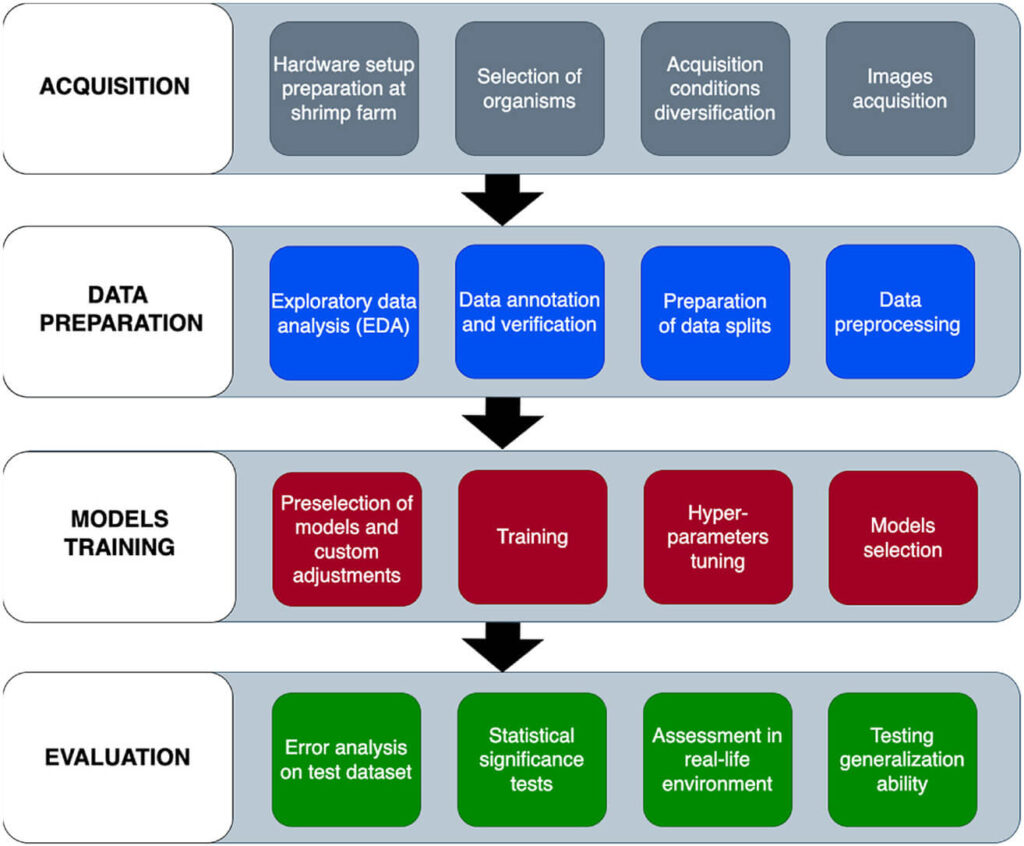 Diagram of the research and technological process of research on the use of AI for automatic counting of shrimps described in the journal of cleaner production