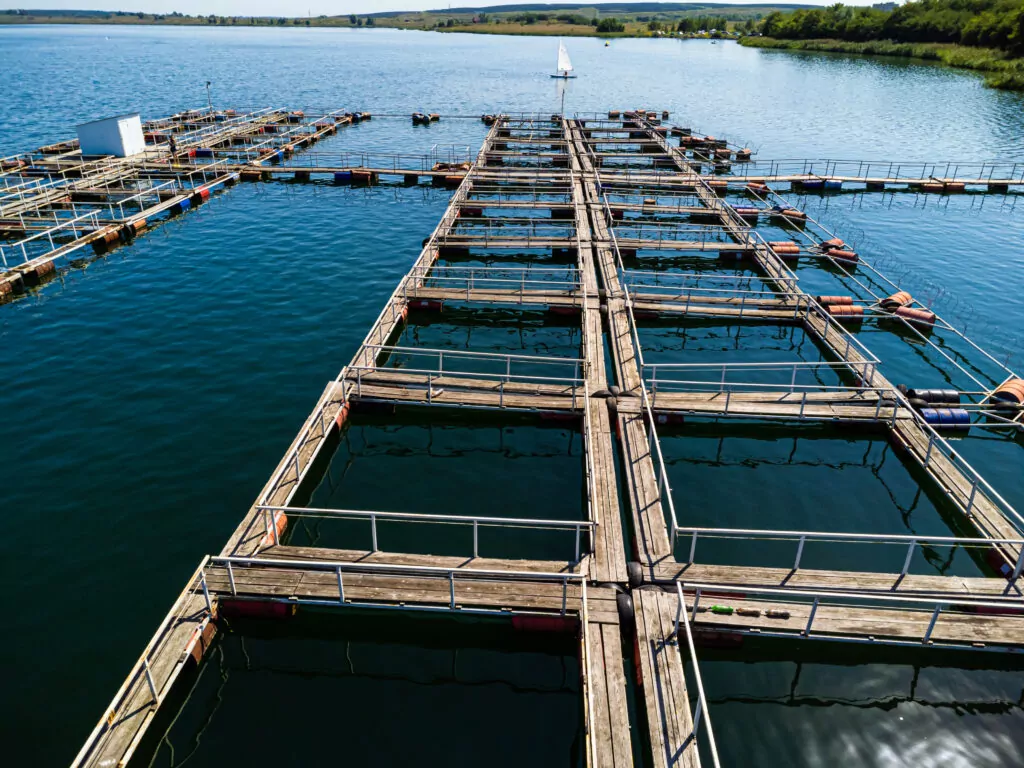 Aquaculture challeges